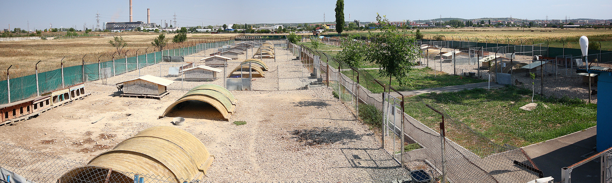 &nbsp&nbsp&nbspAdăpostul Grivei