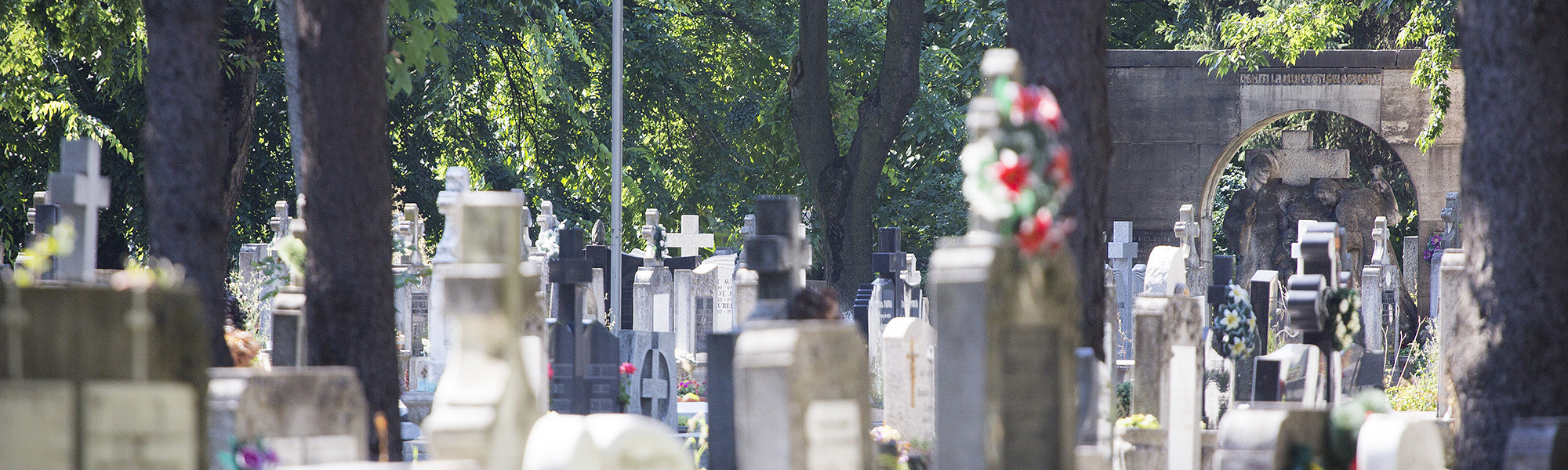 &nbsp&nbsp&nbspCimitirul Municipal
