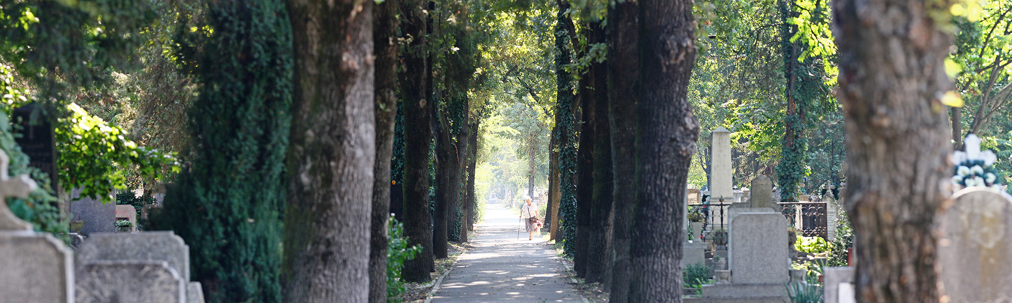   &nbspCimitirul Municipal