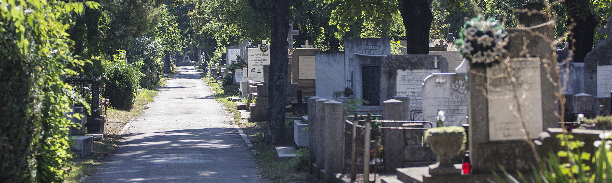 &nbsp&nbsp&nbspCimitirul Municipal