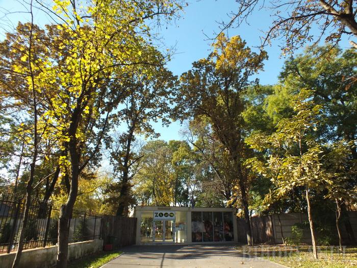 Cadoul de la Nyíregyháza. Grădina Zoologică Oradea